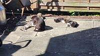 In der Sonne kann man es gut aushalten.
